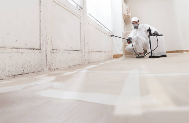 24/7 Emergency Mold Cleanup experts in Centreville, VA