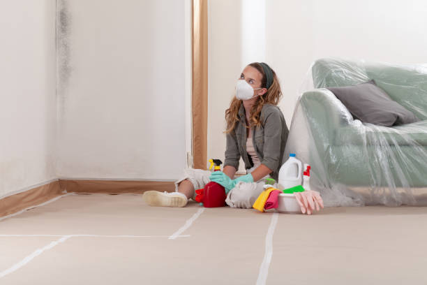 Reliable Mold Cleanup contractor in Centreville, VA by Cheap Mold Removal